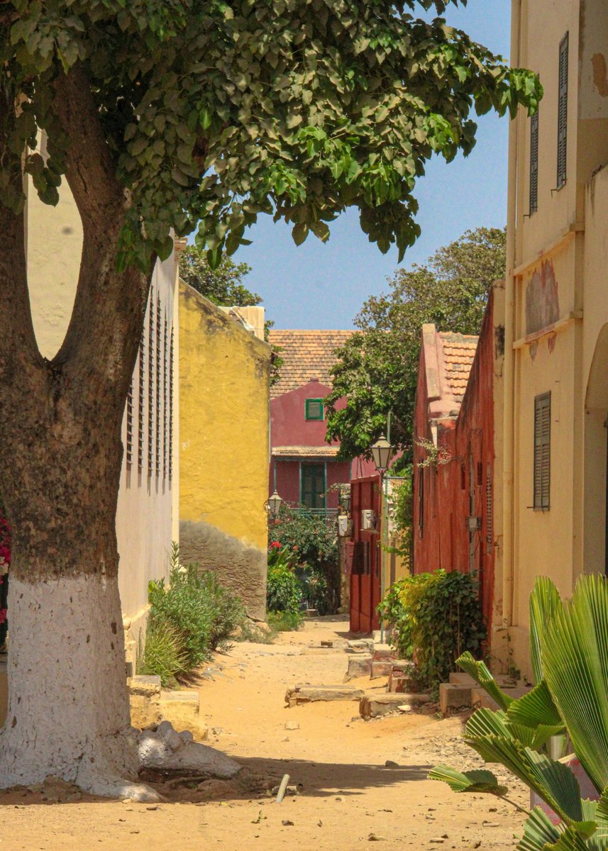 Rue de sable étroite à Dakar, bordée de maisons colorées et d'un grand arbre